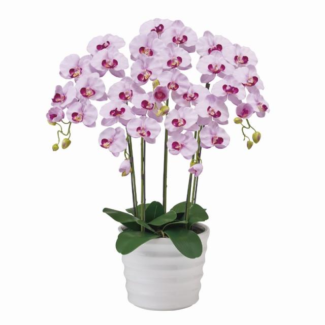 光触媒 人工観葉植物 フェイクグリーン 胡蝶蘭 ピュアオーキッド