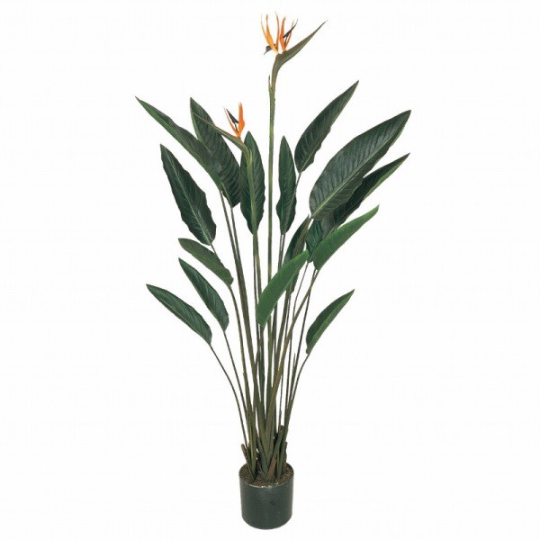 人工観葉植物 ストレチアプラント 光触媒加工 高さ140cm （P205-zv7416) （代引き不可） インテリアグリーン フェイクグリーン