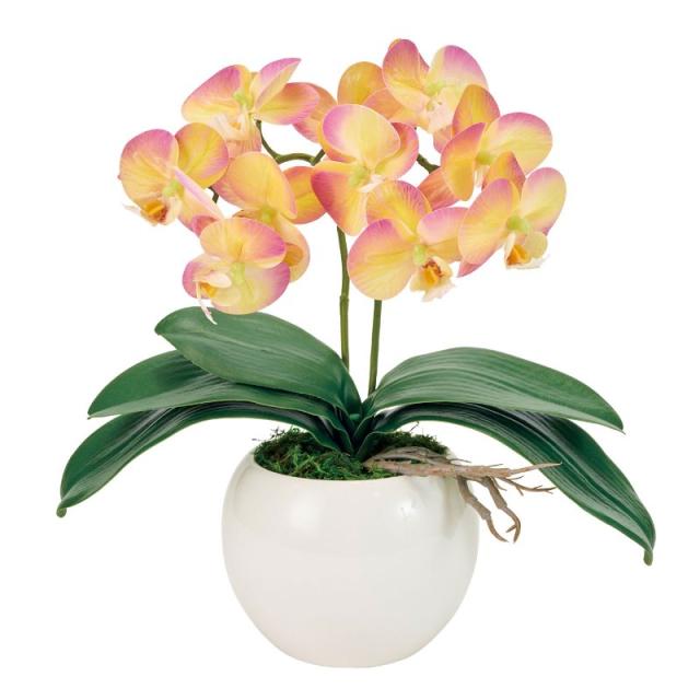 フェイクグリーン ピュアオーキッド2本立（シェリーファレノ） ラベンダーイエロー 光触媒加工 高さ35cm （P216-zv8072-104) （代引き不可） 造花 胡蝶蘭の通販は 8,917円