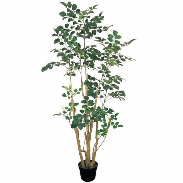 人工観葉植物 ポリシャス ポットL 光触媒加工 高さ200cm （P201-zv88208) （代引き不可） インテリアグリーン フェイクグリーン