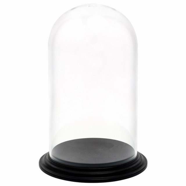 花瓶 フラワーベース Polycabonate PC dome ピーシードーム clear 台付き （1個入り） [937-008-000] [p148] ポリカーボネート （代引き