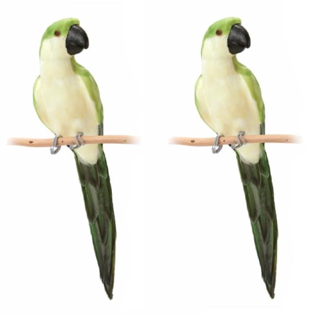 ガーデン インテリア グリーン パロット 50 accessory （2個入り） 48005 decoation （代引き不可） ガーデン雑貨 FARM （p313）の通販は 9,380円