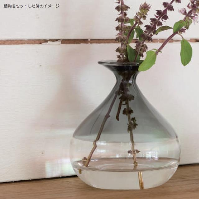 花・観葉植物用ポット ミリアム H glass （4個入り） 67024 花瓶 （代引き不可） ミニサイズ フラワーベース FARM （p269）