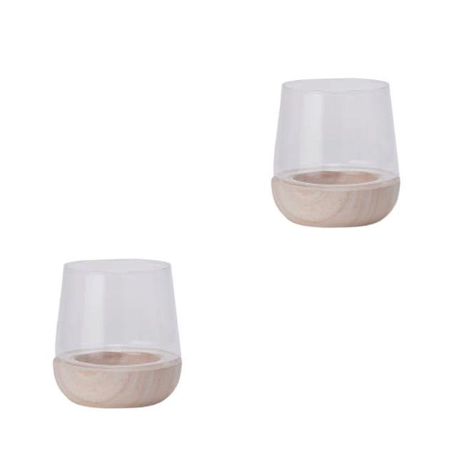 花・観葉植物用ポット スモールテラリウム N 11 terrarium （2個入り） 93142 terrarium （代引き不可） テラリウム FARM （p307）の通販は 7,340円