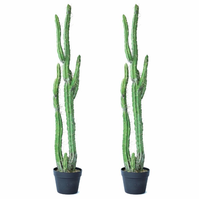 人工観葉植物 柱サボテン ポット 118（2個入り）991670 サボテン リビング、休憩室サイズ インテリア フェイクグリーン 造花 CACTUS （p107）