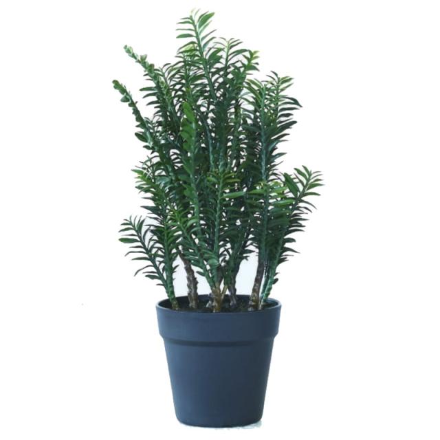 GEORG JENSEN BLOOM BOTANICA FLOWER POT / ジョージ ジェンセン ブルーム ボタニカ フラワーポット S -  インテリア・家具通販【FLYMEe】 花・観葉植物用ポット ジルダ 15 アンティークブラウン ceramic （1個入り） 94009 お盆タイプ （代引き不可） 大型