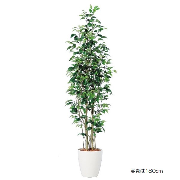 人工観葉植物 ベンジャミンスリム FST 150cm 高さ150cm （P233