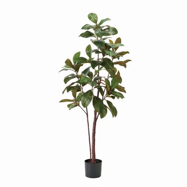 人工観葉植物 マグノリア ポット 高さ180cm （P221) （fg1680
