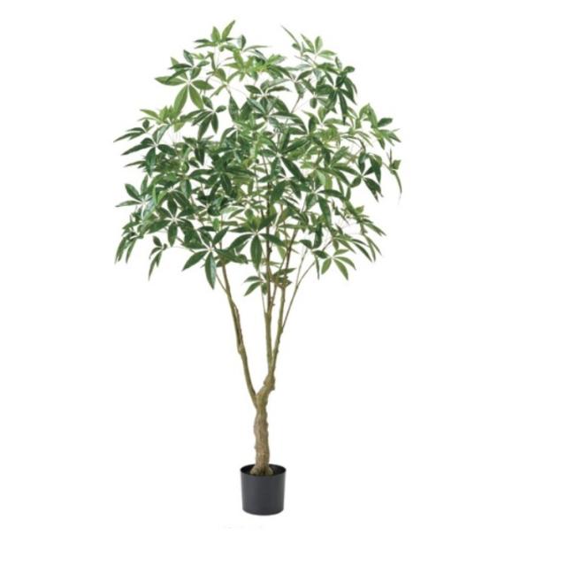 人工観葉植物 コーヒー コアッド 200 高さ200cm （P16-99346) （代引き不可） 人工観葉植物 コーヒー コアッド 200 高さ200cm （P16-99346) （代引き