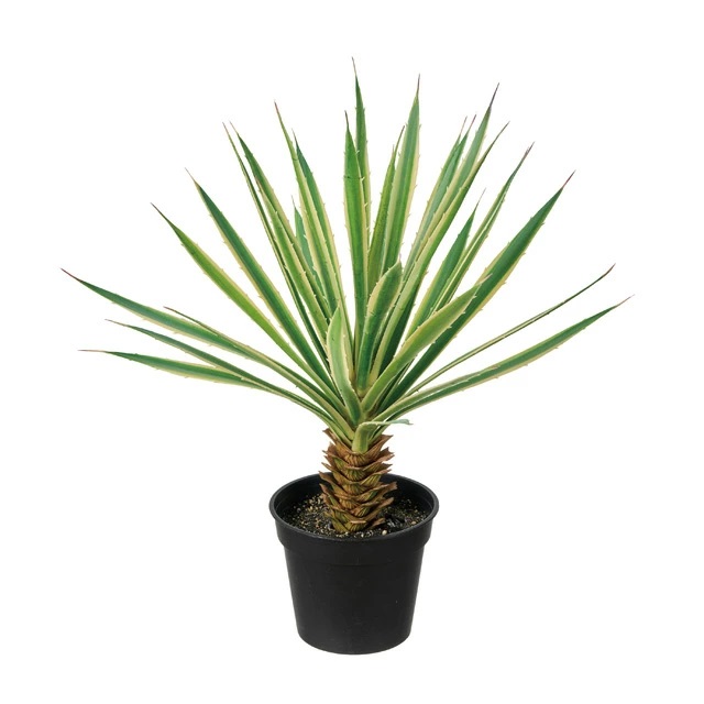 人工観葉植物 ユッカ ミニポット 光触媒加工 高さ40cm （P213) （zv932