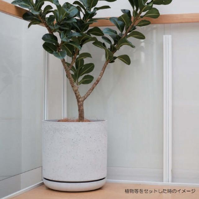 大型植木鉢 14号 ◼️テラニアスバルーン14号鉢◼️植木鉢 42cm 植木鉢
