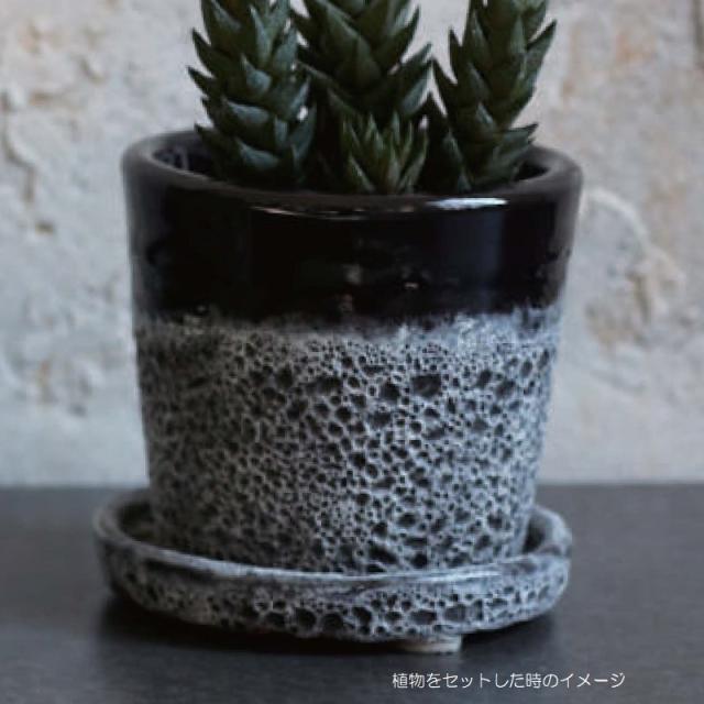 園芸 インテリア ポット ハレー 4号 受け皿付き S 4号 4個入り hl-001g12p [p395] （代引き不可）