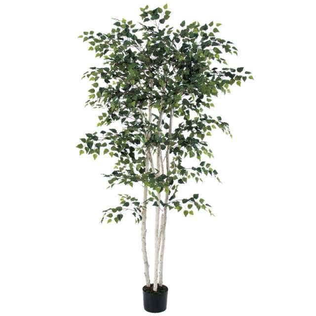 人工観葉植物 バーチツリー （ポット付き） 高さ180cm （P278-a50939) （）