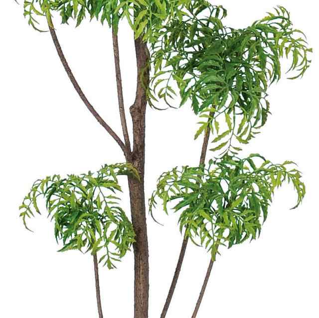 人工観葉植物 アラリア （ポット付き） 高さ155cm （P282-a50908) （）