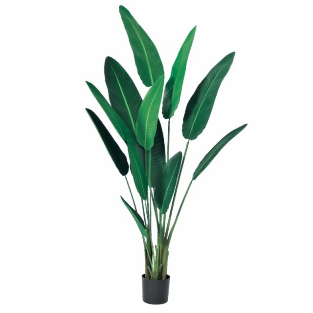 人工観葉植物 トラベルパーム （ポット付き） 高さ210cm （P286-a50950) （代引き不可） インテリアグリーン フェイクグリーン