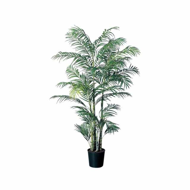 人工観葉植物 アレカパーム （ポット付き） 高さ175cm （P287-a56009