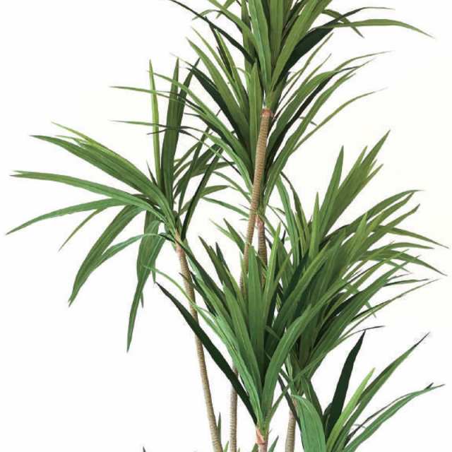 クリスマス特集2022 人工観葉植物 ユッカポット240 1個 bc140-1 多肉