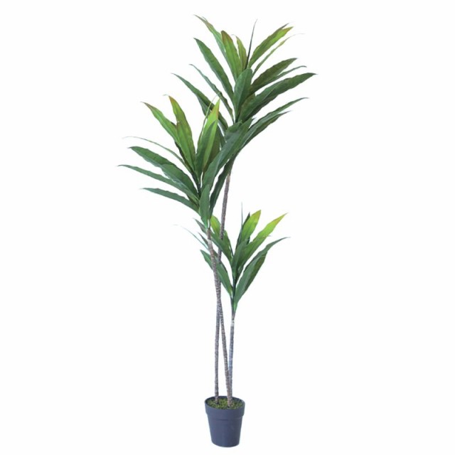 即納特典付き 人工観葉植物 ドラセナポット180パープル 2個セット bc080-0 庭木ポット 代引き不可 インテリア フェイクグリーン  造花GARDEN PLANT p30