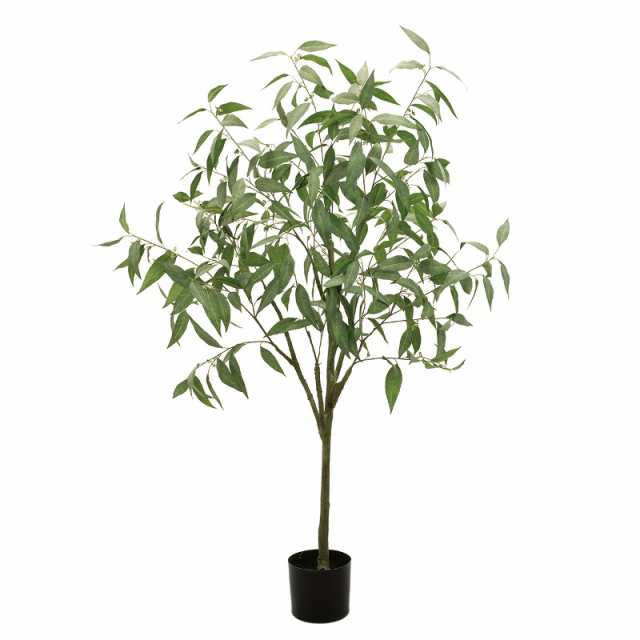 人工観葉植物 シルバーユーカリー ポット 高さ150cm （P200-fg1668) （）