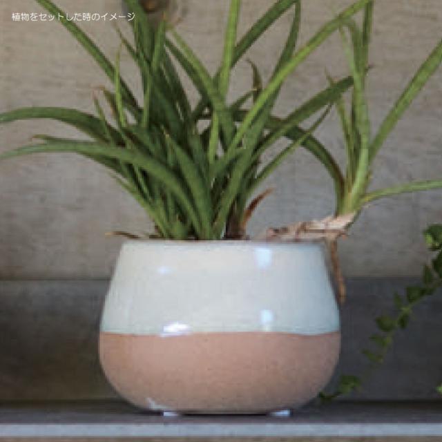 花・観葉植物用ポット ライラ 11 WN ceramic (6個入り) 40101 鉢タイプ (代引き不可) ミニ鉢カバー FARM (p44)の通販は 花・観葉植物用ポット ライラ 11 WN ceramic (6個入り) 40101 鉢タイプ (代引き不可) ミニ鉢カバー FARM (p44)の通販は