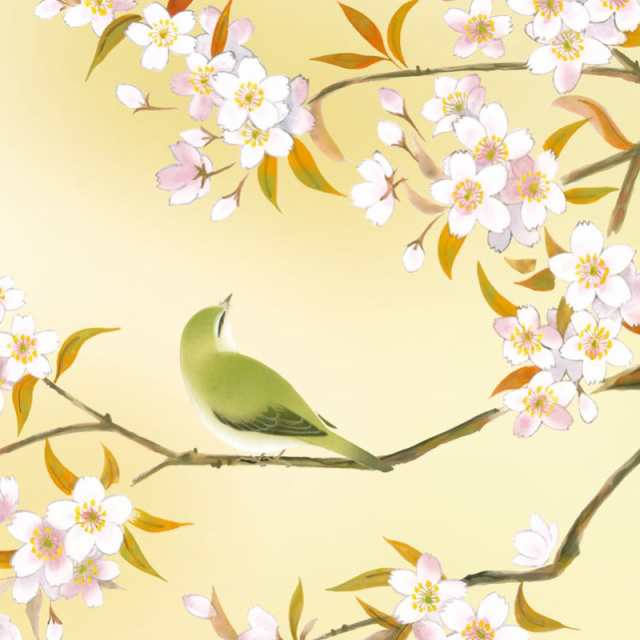 額絵 日本画[花鳥画]春飾り 【桜に鶯】 [F4] [緒方葉水] [G4-BK062-F4