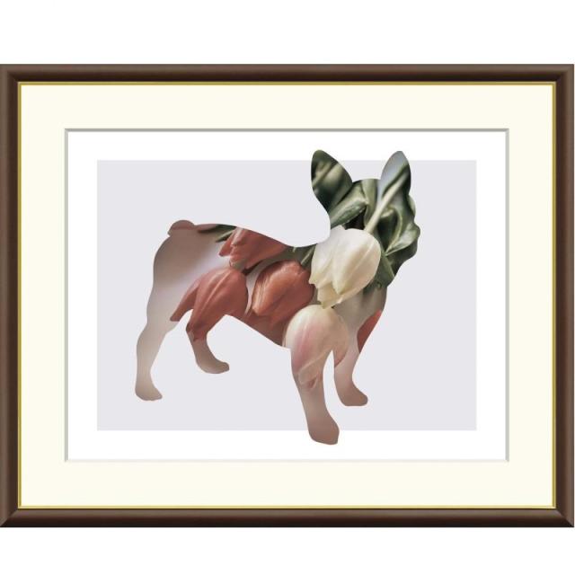 モーリシャス 1967 50 ルピー P 33 c AUNC PMG 55