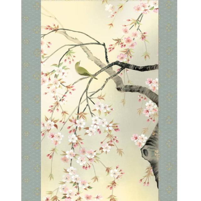 掛軸 [花鳥画]春掛け 【桜花】 [尺三] [森山観月] [KZ2MA2-088](代引き