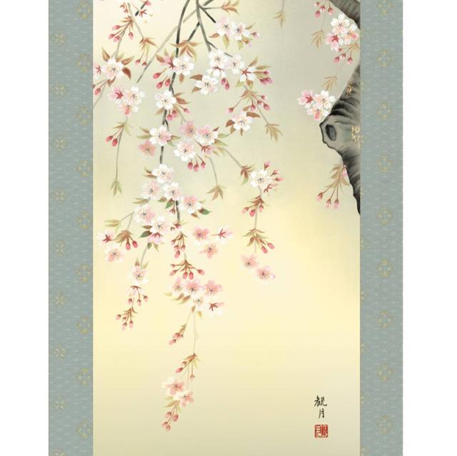 掛軸 [花鳥画]春掛け 【桜花】 [尺三] [森山観月] [KZ2MA2-088](代引き