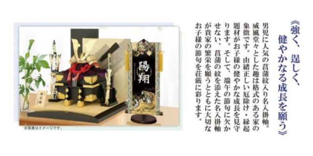 モダン友禅名入掛軸 菖蒲紋入り 端午の節句 [開運龍神] 小サイズ 新絹本 [YTB-020-s] 五月人形 お名前・生年月日入り