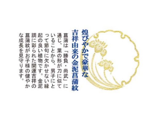 モダン友禅名入掛軸 菖蒲紋入り 端午の節句 [開運龍神] 小サイズ 新絹本 [YTB-020-s] 五月人形 お名前・生年月日入り