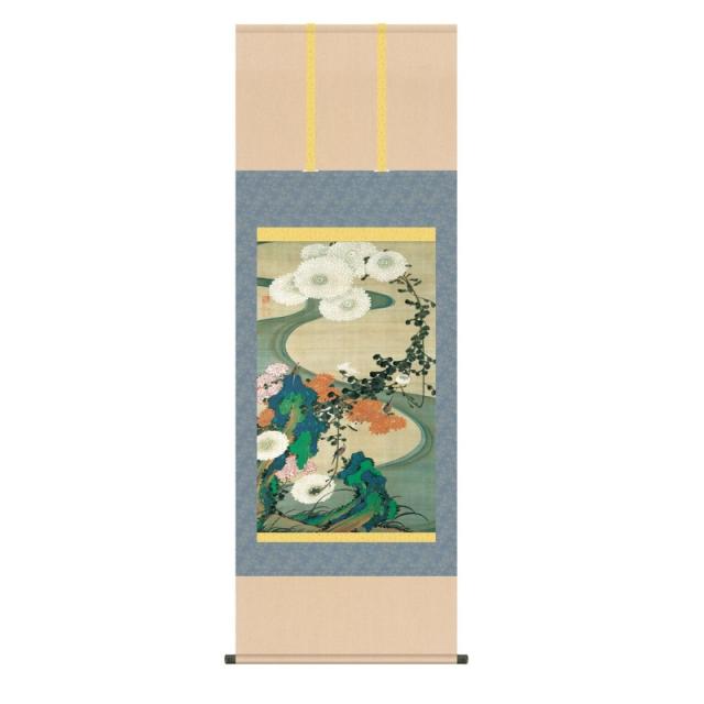掛軸 伊藤若冲 菊花流水図 (きっかりゅうすいず) 尺五 (KZ3G9-039) (代引き不可)
