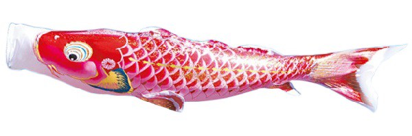 撥水加工　日本の伝統文化　徳永　3m鯉3匹　鯉のぼり　庭園用　桜風吹流し　ポール別売り　大型鯉　千寿　こいのぼり-