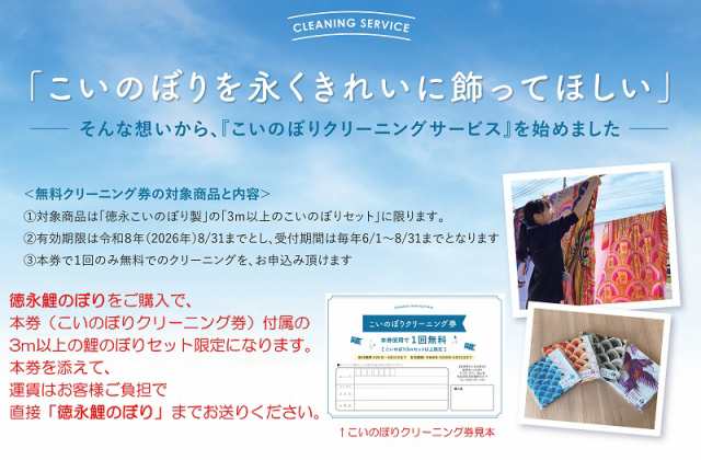 徳永 鯉のぼり 庭園用 ポール別売り 大型鯉 10m鯉5匹錦龍 金太郎付