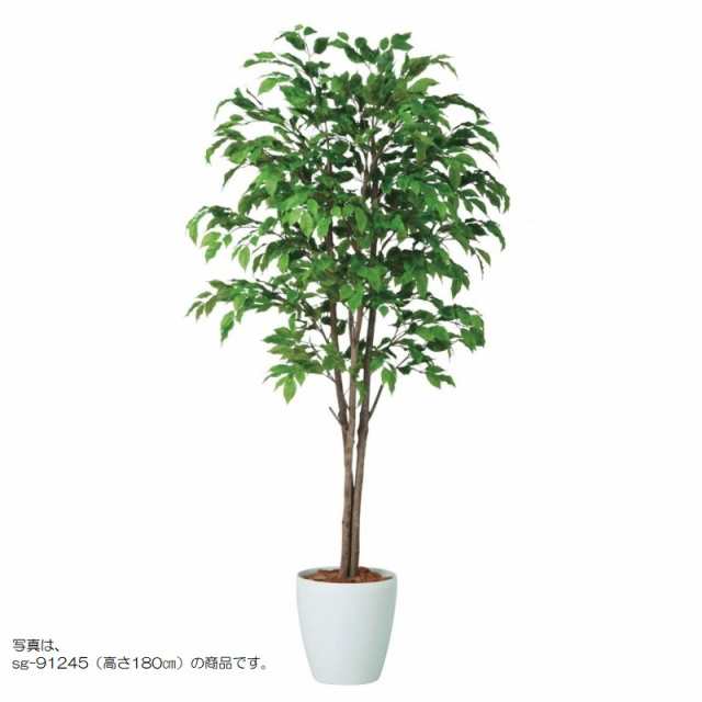 人工観葉植物 ベンシャミナスプラッシュトリプル 200 natural ポット付き 高さ200cm （P59-91244) （代引き不可） インテリアグリーン フ