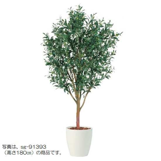 人工観葉植物 ライプオリーブ 150 ポット付き 高さ150cm （P79-91394) （代引き不可） インテリアグリーン フェイクグリーン