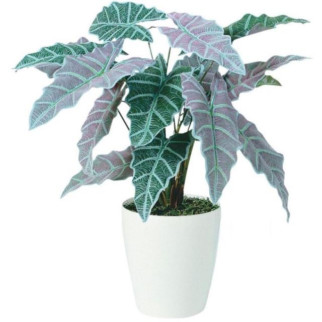 光触媒 人工観葉植物 フェイクグリーン ヤマモミジ RED コアッド 200