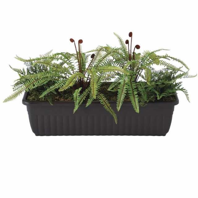 人工観葉植物 プラントボックス ポット付き 高さ40cm （P100-91656) （代引き不可） インテリアグリーン フェイクグリーン