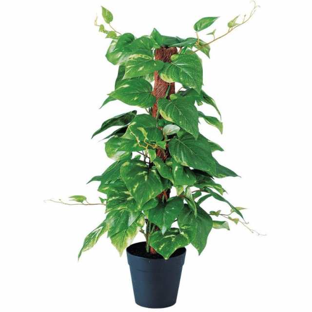 人工観葉植物 ポトスヘゴポット 簡易ポット付き 高さ45cm （P102-91657) （代引き不可） インテリアグリーン フェイクグリーン