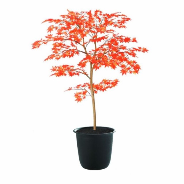 人工観葉植物 ヤマモミジ 100 RED FST ポット付き 高さ100cm （P125-91770) （代引き不可） インテリアグリーン フェイクグリーン