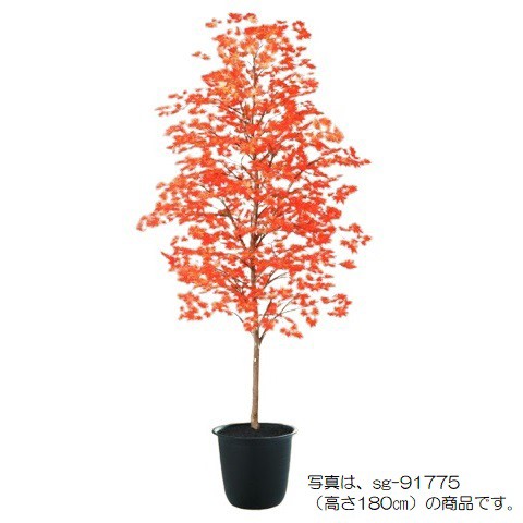 人工観葉植物 ヤマモミジ 紅 200 ポット付き 高さ200cm （P126-91774