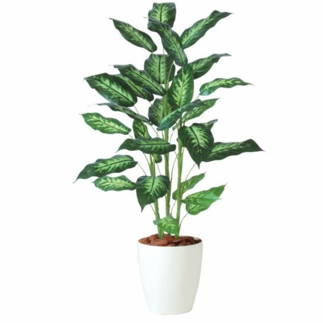 人工観葉植物 ディフェンバギア R 120 ポット付き 高さ120cm （P95-91840) （代引き不可） インテリアグリーン フェイクグリーンの通販は