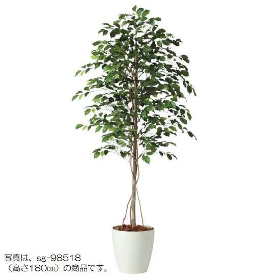 人工観葉植物 フィッカスベンシャミナ 150 natural ポット付き 高さ150cm （P57-98519) （代引き不可） インテリアグリーン フェイクグリ