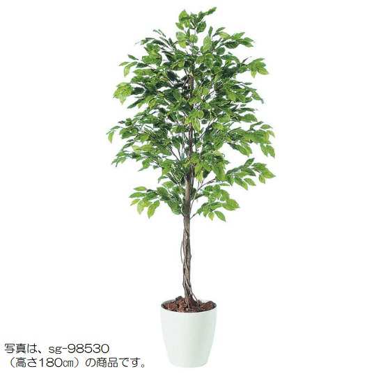 人工観葉植物 ベンジャミナスプラッシュ 150 natural ポット付き 高さ150cm （P57-98531) （代引き不可） インテリアグリーン フェイクグリーンの通販は