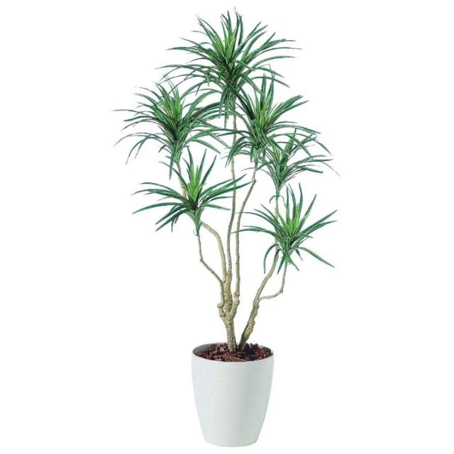 人工観葉植物 コンシナトリコロル 140 ポット付き 高さ140cm （P63-98551) （代引き不可） インテリアグリーン フェイクグリーンの通販は 27,639円