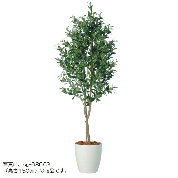 人工観葉植物 ライプオリーブデュアル 150 ポット付き 高さ150cm （P79-98665) （代引き不可） インテリアグリーン フェイクグリーン