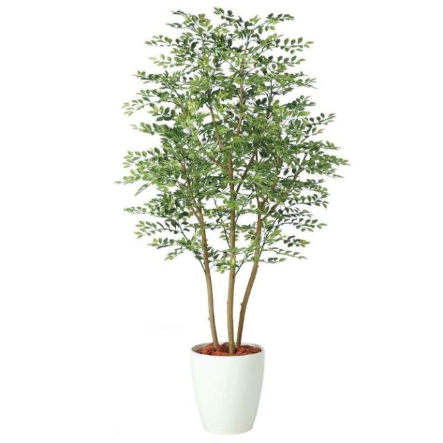 人工観葉植物 ゴールデンリーフ FST 150 ポット付き 高さ150cm （P80-98972) （代引き不可） インテリアグリーン フェイクグリーンの通販は