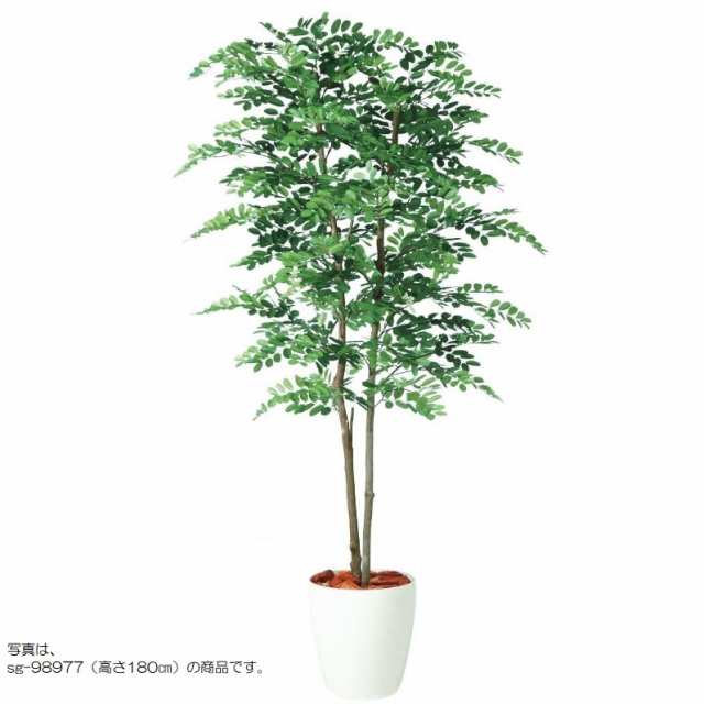 人工観葉植物 アカシアデュアル 200 ポット付き 高さ200cm （P80-98975) （代引き不可） インテリアグリーン フェイクグリーン