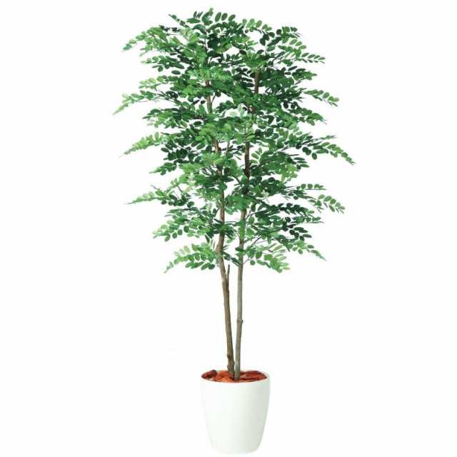 人工観葉植物 アカシアデュアル 180 ポット付き 高さ180cm （P80-98977) （代引き不可） インテリアグリーン フェイクグリーン