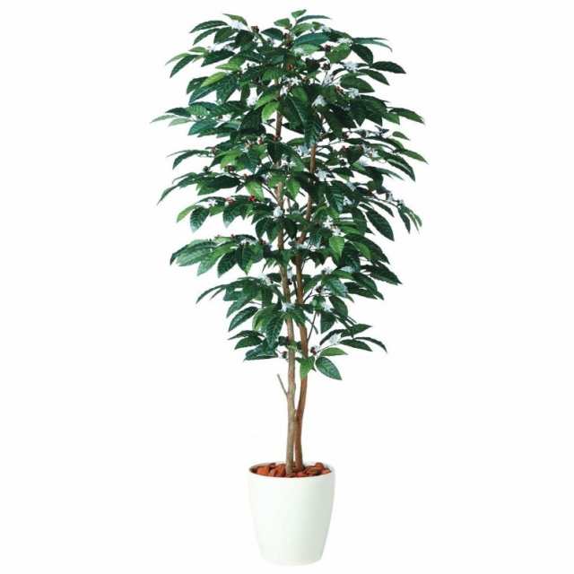 人工観葉植物 コーヒーデュアル 180 ポット付き 高さ180cm （P80-98989) （代引き不可） インテリアグリーン フェイクグリーンの通販は