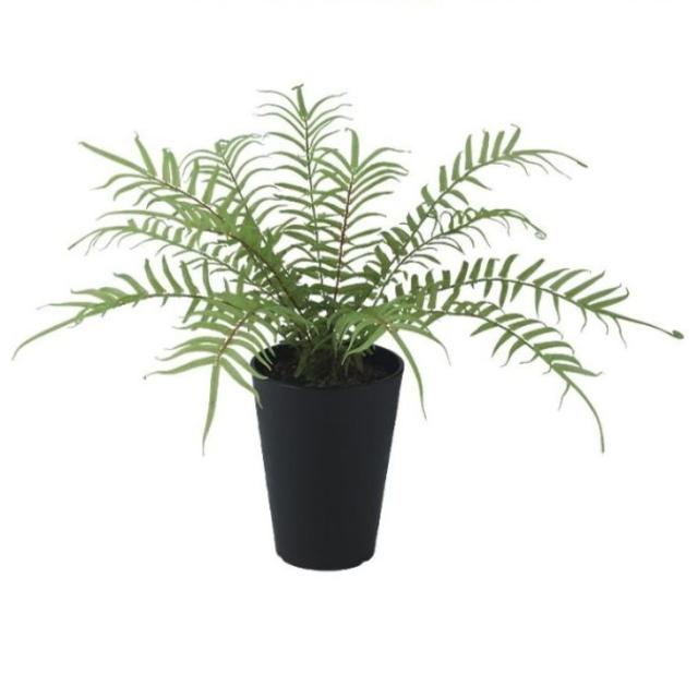 人工観葉植物 ヒリュウシダ ポット付き 高さ35cm （P99-99470) （代引き不可） インテリアグリーン フェイクグリーンの通販は 6,860円
